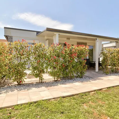 Splendid Mobile In With Swimming Pool Holiday home